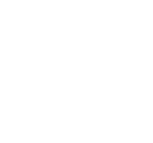cheebsco logo