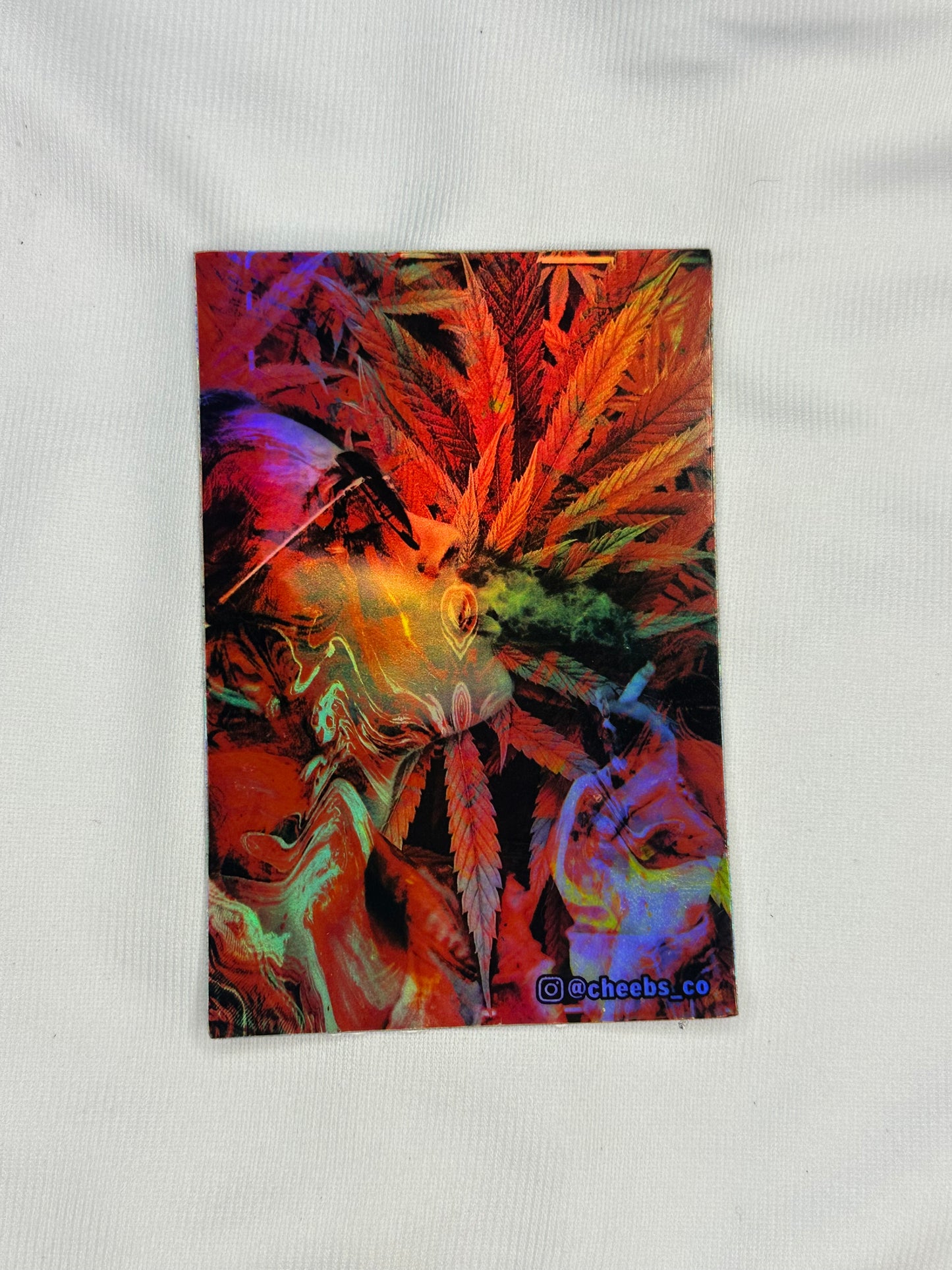 Lady Jane Holo sticker